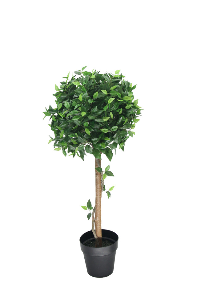 GGREENERY GGREENERIES GGREENERIE ARTIFICIAL ARTIFICIALS FLOWER FLOWERS PLANT PLANTS SYNTHETIC SYNTHETICS FAKE FAKES SILK SILKS PLASTIC PLASTICS POT POTS POTTED POTTEDS TREE TREES FICUS FICU TOPIARY TOPIARIES TOPIARIE GREENERY GREENERIES GREENERIE Mid Green green mid  