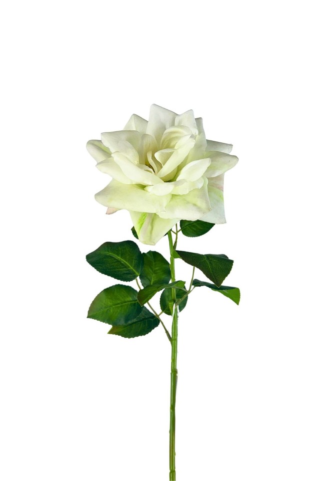 ROSE ROSES ARTIFICIAL ARTIFICIALS FLOWERS FLOWER STEM STEMS VALENTINES VALENTINE SOFT SOFTS TOUCH TOUCHES REAL REALS D
