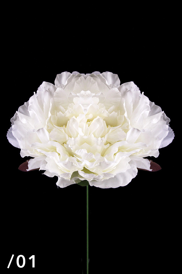 PEONY PEONIES PEONIE ARTIFICIAL ARTIFICIALS FLOWERS FLOWER STEM STEMS LARGE LARGES SINGLE SINGLES HEAD HEADS