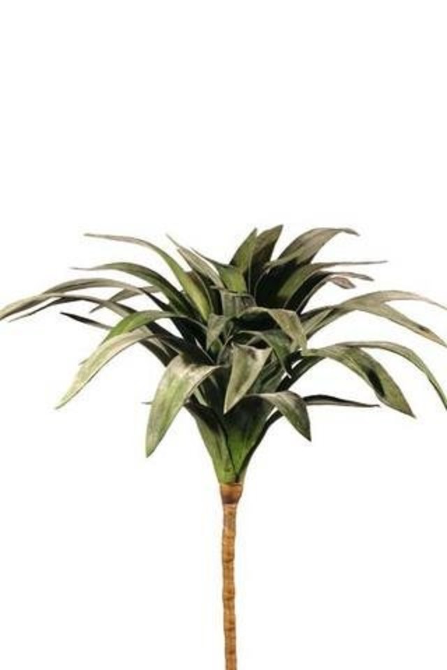 FLAX FLAXES ARTIFICIAL ARTIFICIALS 85CM 85CMS MEDIUM MEDIA LEAVES LEAFE LEAVE LEAF LEAFS GREENERY GREENERIES GREENERIE