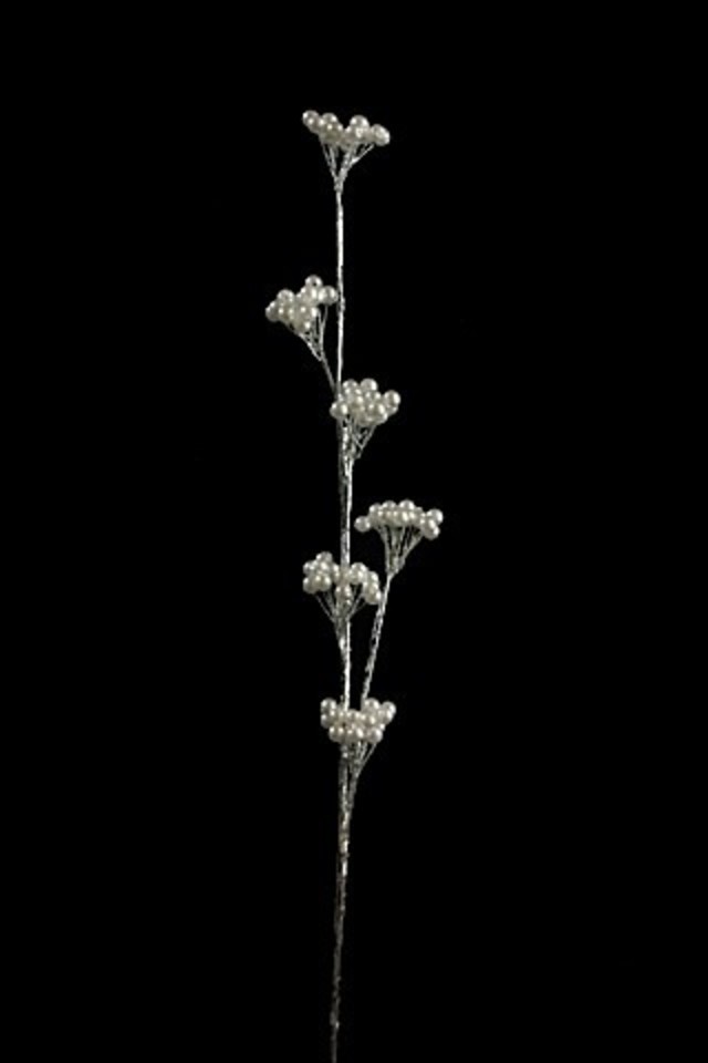 FILLER FILLERS PEARL PEARLS SPRAY SPRAYS SPRAIE BUNCH BUNCHES BRIDAL BRIDALS FLOWER FLOWERS CHRISTMAS CHRISTMA FFLOWER FFLOWERS