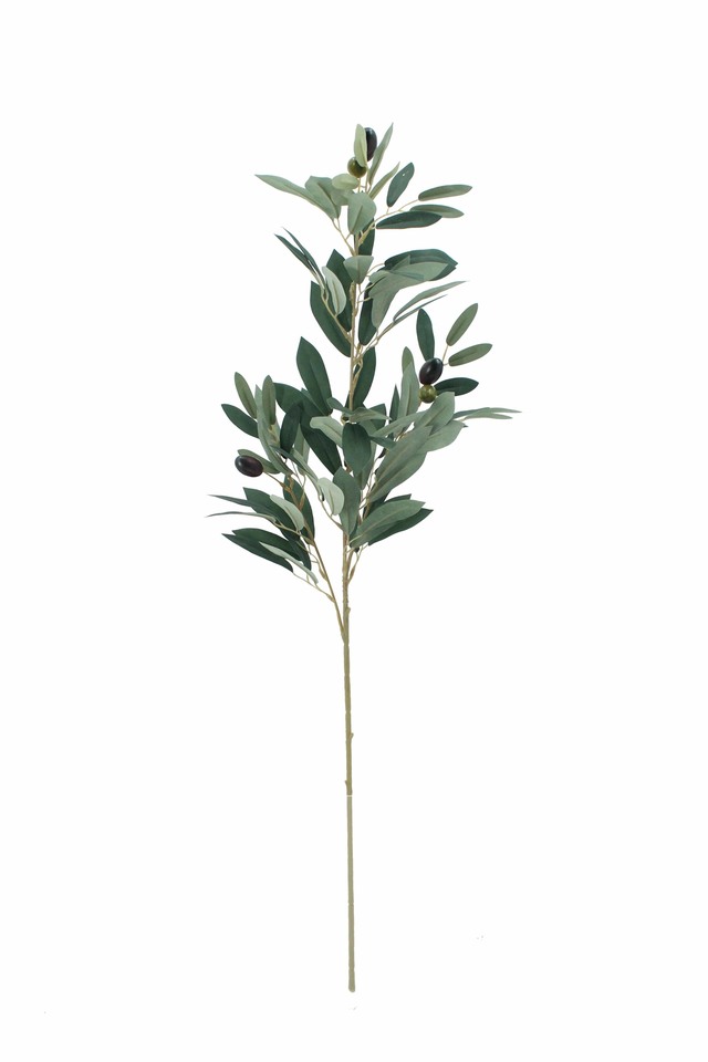 Olive Branch Spray : 82.5cm - Holstens