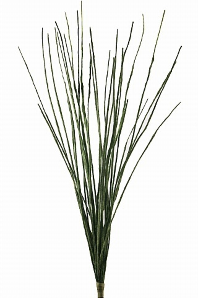 100CM 100CMS ONION ONIONS GRASS GRASSES GRAS 1/24BLADE 1/24BLADES LEAVES LEAFE LEAVE LEAF LEAFS GREENERY GREENERIES GREENERIE BLADE BLADES