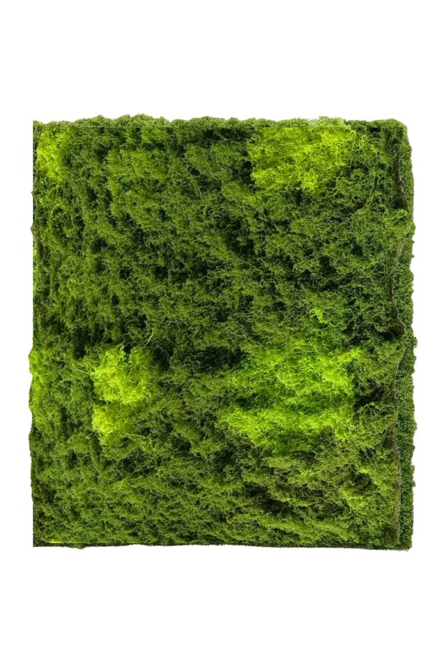 GGREENERY GGREENERIES GGREENERIE ARTIFICIAL ARTIFICIALS FLOWER FLOWERS PANEL PANELS WALL WALLS FLOWER PANEL FLOWER PANELS FLOWER WALL FLOWER WALLS GREEN GREENS LEAF LEAFS LEAVES LEAFE LEAVE GREENERY GREENERIES GREENERIE MOSS MOSSES MOS NEW NEWS TONE TONES
