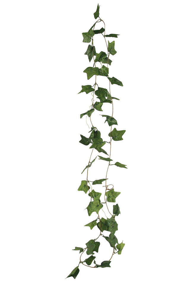 Ivy Garland - 52 Leaves : 240cm - Holstens