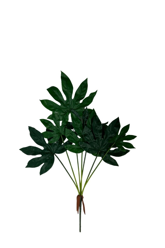 GGREENERY GGREENERIES GGREENERIE LLEAF LLEAFS ARTIFICIAL ARTIFICIALS FLOWER FLOWERS PLANT PLANTS SYNTHETIC SYNTHETICS FAKE FAKES SILK SILKS PLASTIC PLASTICS LEAF LEAFS LEAVE LEAVES LEAFE GREEN GREENS GREENERY GREENERIES GREENERIE FOLIAGE FOLIAGES ROUND ROUNDS 92CM 92CMS ARALIA ARALIUM X