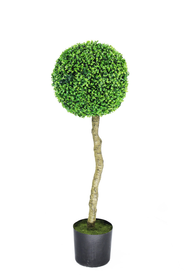 GGREENERY GGREENERIES GGREENERIE ARTIFICIAL ARTIFICIALS FLOWER FLOWERS PLANT PLANTS SYNTHETIC SYNTHETICS FAKE FAKES SILK SILKS PLASTIC PLASTICS POT POTS POTTED POTTEDS TOPIARY TOPIARIES TOPIARIE BOXWOOD BOXWOODS TREE TREES BOX BOXES WOOD WOODS GREENERY GREENERIES GREENERIE