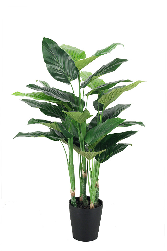 Potted Philodendron Leaf Plant 120cmH x 55cmD Holstens