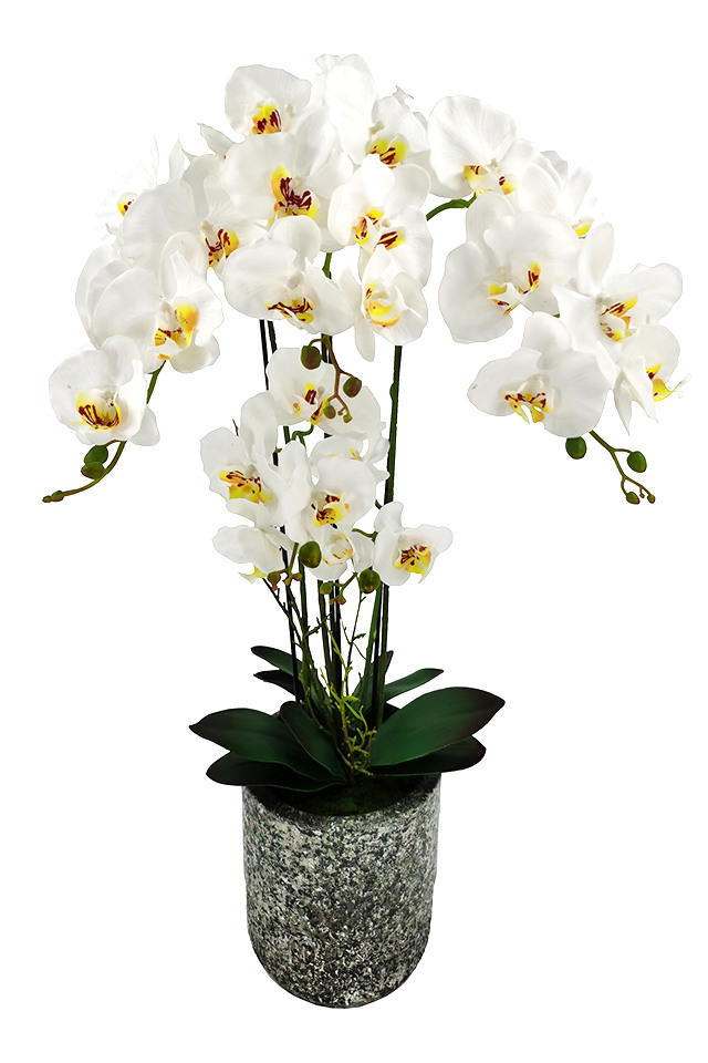 ARTIFICIAL ARTIFICIALS FLOWER FLOWERS PLANT PLANTS SYNTHETIC SYNTHETICS FAKE FAKES SILK SILKS PLASTIC PLASTICS ARRANGEMENT ARRANGEMENTS POTTED POTTEDS ORCHID ORCHIDS POT POTS PPHALAENOPSIS PPHALAENOPSI PPHALAENOPSES PPHALAENOPSE EXTRA EXTRAS LARGE LARGES PHALAENOPSIS PHALAENOPSI PHALAENOPSES PHALAENOPSE CEMENT CEMENTS VASE VASES
