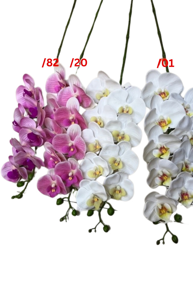 PHALAENOPSIS PHALAENOPSI PHALAENOPSES PHALAENOPSE ORDCHID ORDCHIDS HEADS HEAD BUDS BUD 115CM 115CMS ARTIFICIAL ARTIFICIALS FLOWERS FLOWER ORCHID ORCHIDS