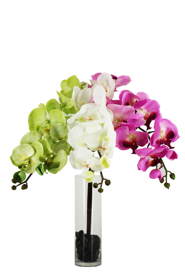 PHALAENOPSIS PHALAENOPSI PHALAENOPSES PHALAENOPSE FLOWER FLOWERS ORCHID ORCHIDS ARTIFICIAL ARTIFICIALS FLOWERORIENTAL FLOWERORIENTALS LARGE LARGES