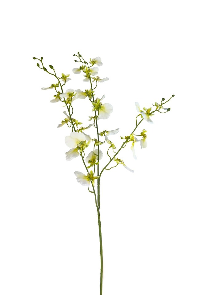 DANCING DANCINGS FLOWER FLOWERS ORCHID ORCHIDS ARTIFICIAL ARTIFICIALS SPRAY SPRAYS SPRAIE STEM STEMS DELUXE DELUXES DELUX D PRINTING PRINTINGS