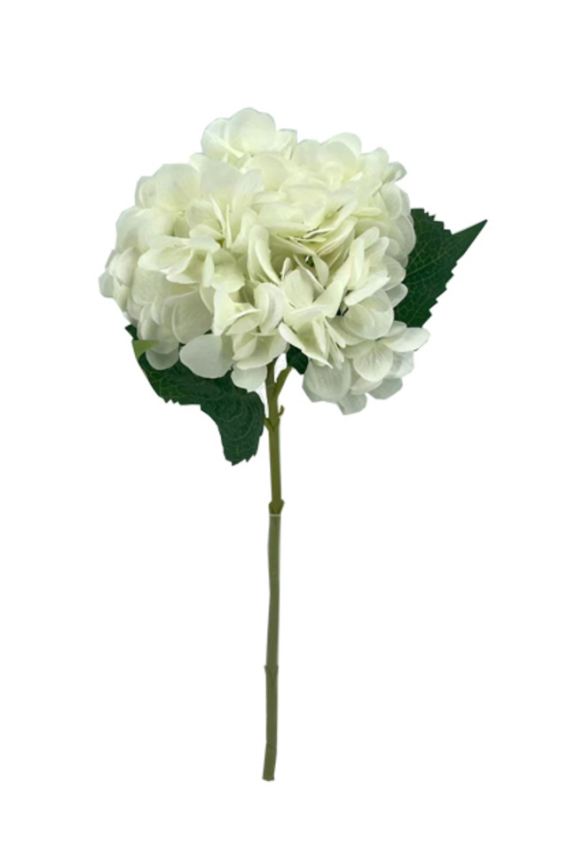 Hydrangea : 47cm - Holstens