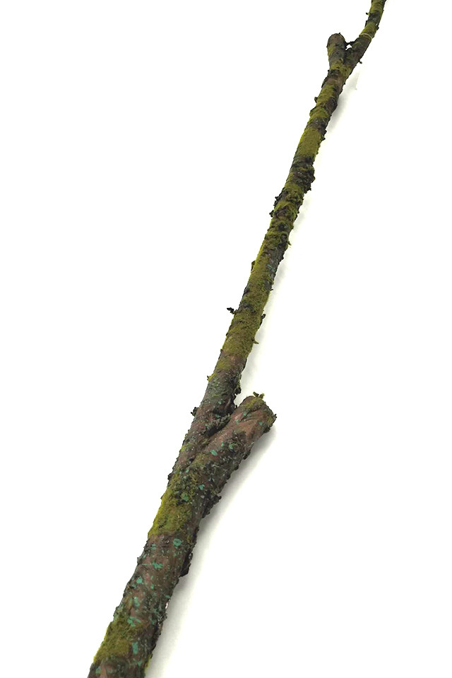 ARTIFICIAL ARTIFICIALS FLOWER FLOWERS PLANT PLANTS SYNTHETIC SYNTHETICS FAKE FAKES SILK SILKS PLASTIC PLASTICS STICK STICKS TWIG TWIGS WHIP WHIPS DODA DODAS BRANCH BRANCHES MOSS MOSSES MOS DELUXE DELUXES DELUX
