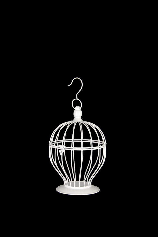 BIRD BIRDS CAGE CAGES PARTY PARTIES PARTIE TABLE CENTRE TABLE CENTRES CENTRE CENTRES CENTER PIECE PIECES EVENT EVENTS RECEPTION RECEPTIONS FUNCTION FUNCTIONS WEDDING WEDDINGS OUT OUTS DOOR DOORS FURNITURE FURNITURES LANTERN LANTERNS BRIDE BRIDES BRIDAL BRIDALS LLANTERN LLANTERNS CURVE CURVES CURF