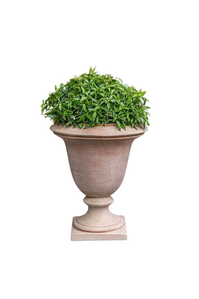 FIBRE FIBRES GLASS GLASSES GLAS MODERN MODERNS PLANTER PLANTERS F/G F/GS RESIN RESINS GLOSS GLOSSES GLOS SETS SET CURVE CURVES CURF TAPER TAPERS FIBREGLASS FIBREGLASSES FIBREGLAS POT POTS TROUGH TROUGHS BOLZANO BOLZANOS URN URNS