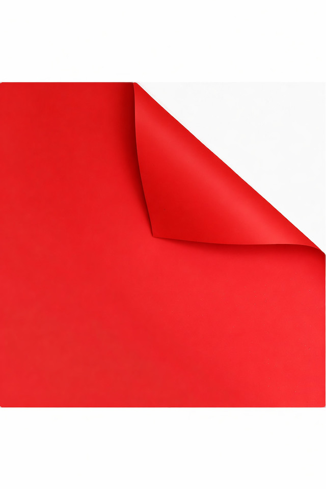 WRAP WRAPS FLOWER FLOWERS FLORIST FLORISTS GIFT GIFTS WRAPPING WRAPPINGS 20SHT 20SHTS 60CM 60CMS SHEET SHEETS PP PPS CELLO CELLOS BOPP BOPPS PLASTIC PLASTICS 2-TONE 2-TONES 2 TONE TONES MATTE MATTES OPP OPPS