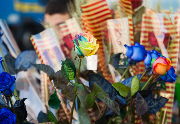 Bulk Event Supplies & Wedding Decoration in UK